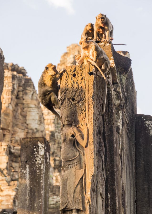 angkor wat-186.jpg